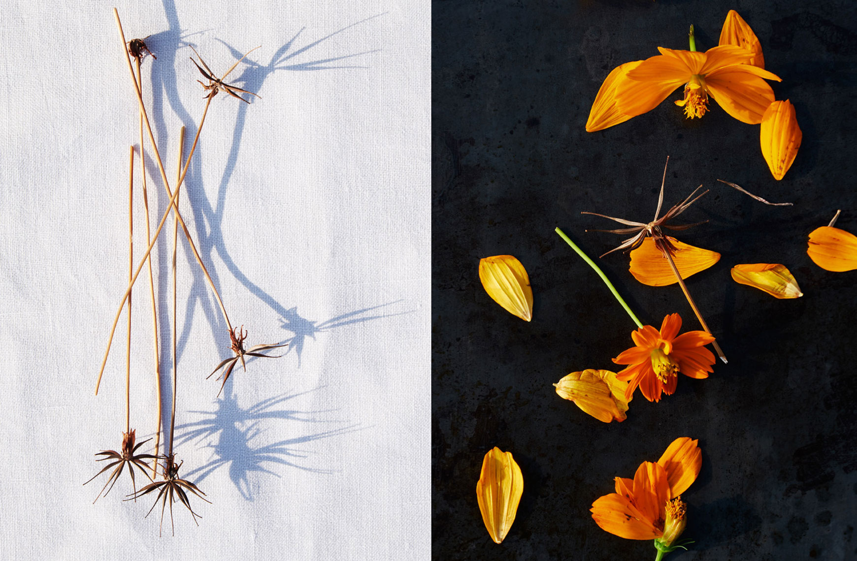 13_Botanicals_botanica_sept15_1