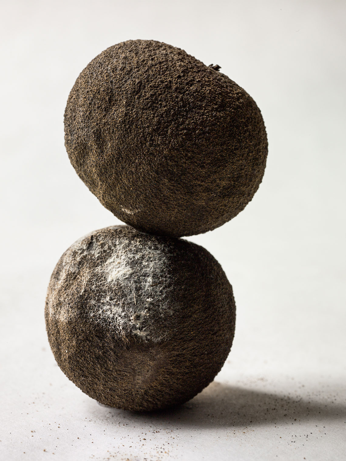 160121_dried-roots-263600-as-Smart-Object-1