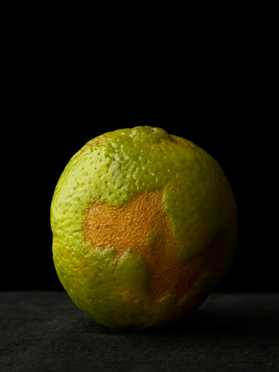 6.190313_misfit-food23881