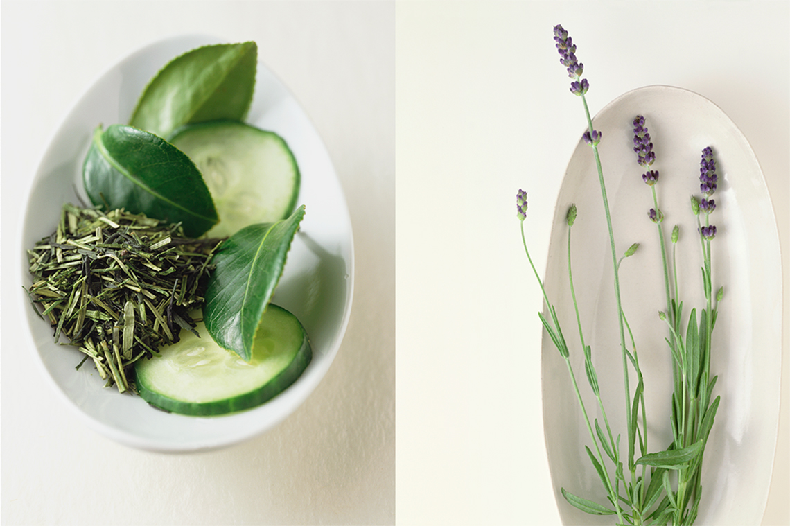 6_Botanicals_plants-PORT_080512_final
