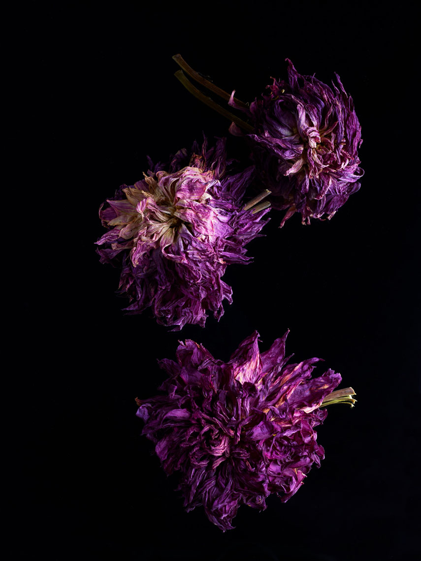 After the bloom