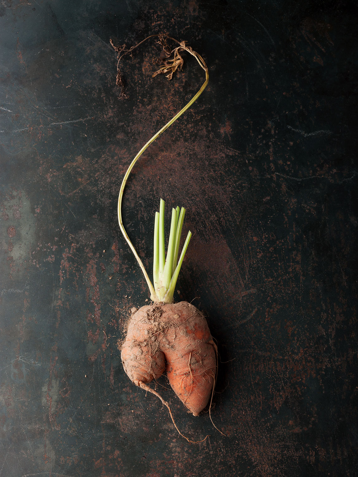 Roots-Doras-sweet-potato-0010-copy