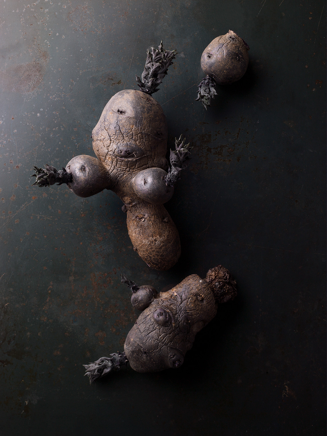 Roots-Purple-Potatoes-037