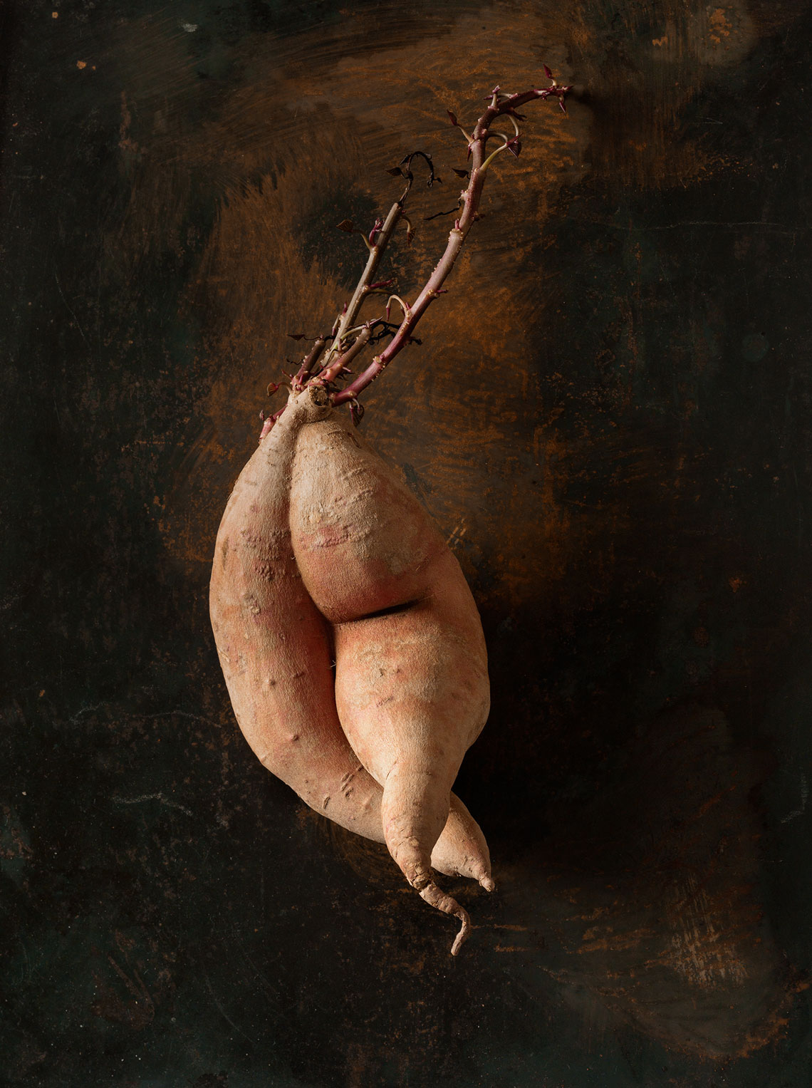 Roots_Series--Doras_sweetpotato-27670-as-Smart-Object-1