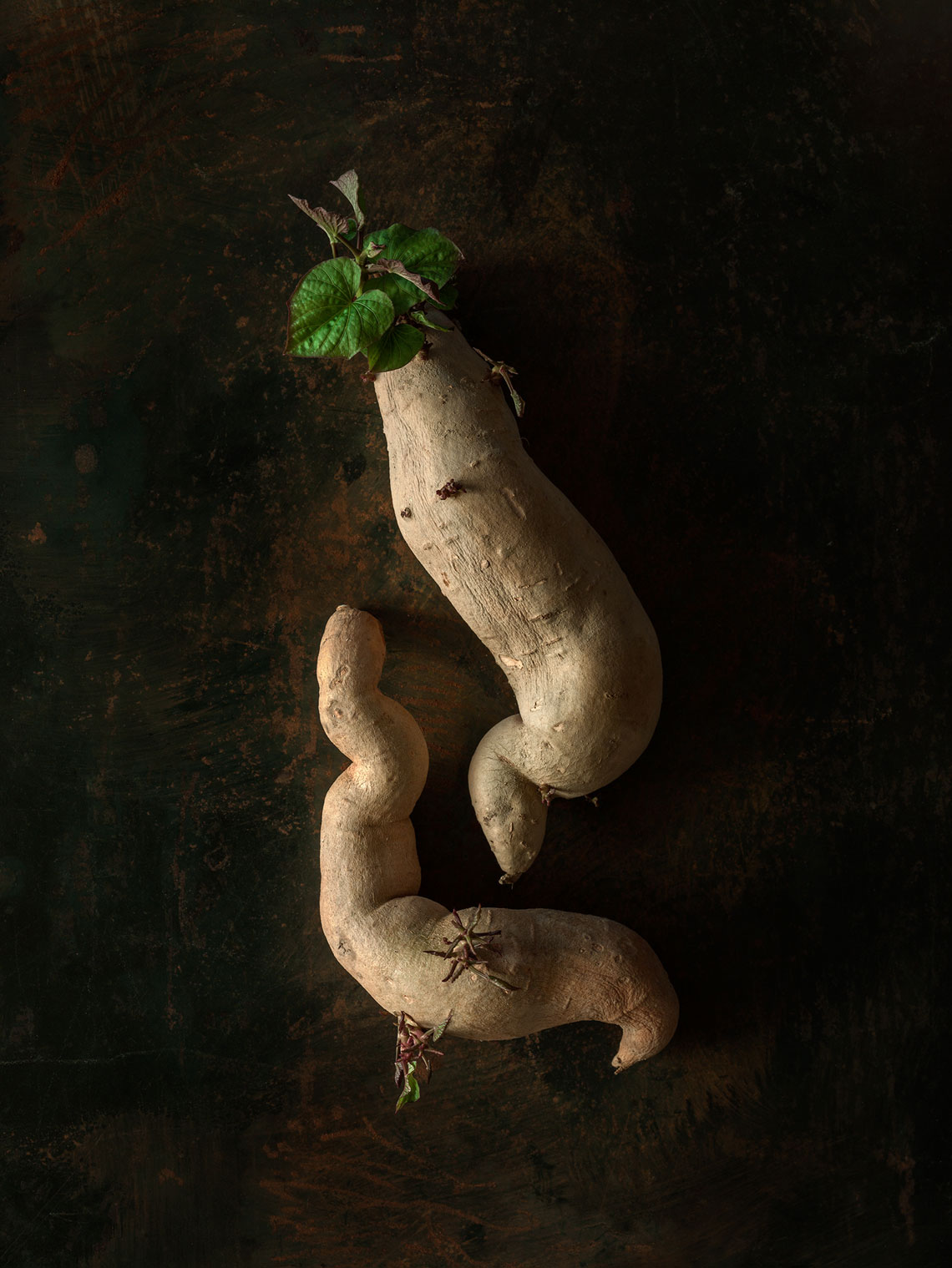 Roots_Series-4-small-potatoes-29856-as-Smart-Object-1
